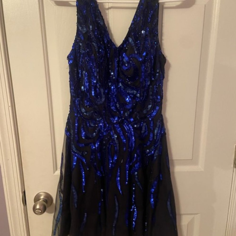 Ashley Lauren cocktail dress